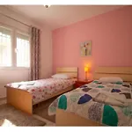 Kalaja Apartment Krujë